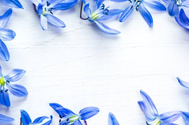 kardelen Beyaz ahşap zemin üzerinde