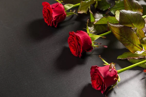 Beautiful red roses bouquet — Stock Photo, Image