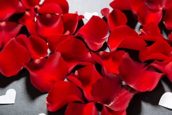 Beautiful red rose petals — Stock Photo, Image