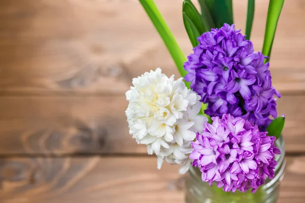 Hyacinth blommor — Stockfoto