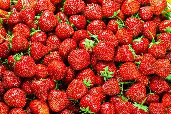 Fresh red Strawberry — Stock Photo, Image