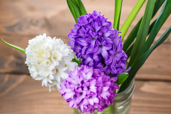 Flores frescas de jacinto —  Fotos de Stock