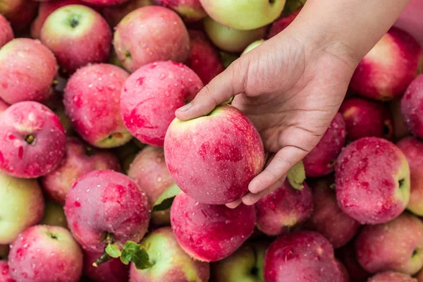 Flickan håller Apple i hand — Stockfoto