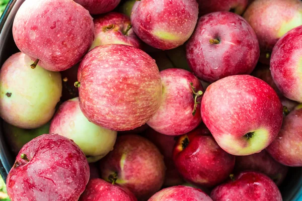 Frische rote Äpfel — Stockfoto