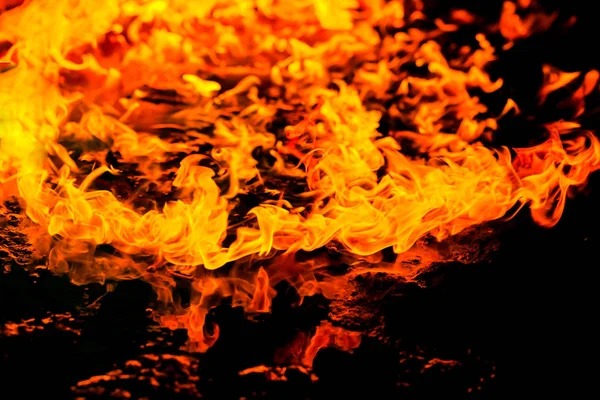 Beautiful burning fire flame — Stock Photo, Image