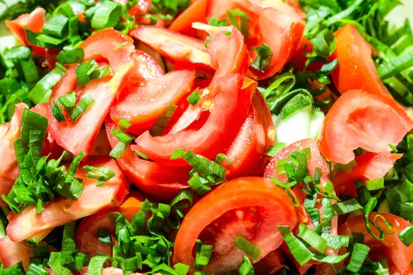 Tomato salad with green onions — Stock Photo, Image