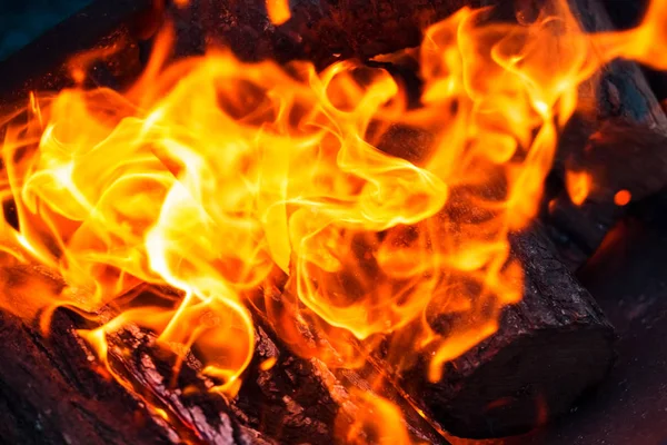 Beautiful burning fire flame — Stock Photo, Image