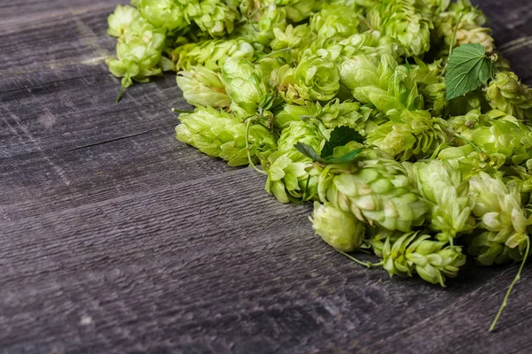 Stapel van groen hop — Stockfoto