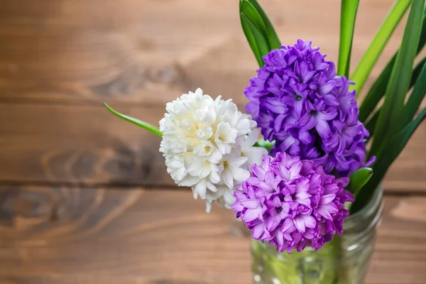 Verse hyacinten bloemen — Stockfoto
