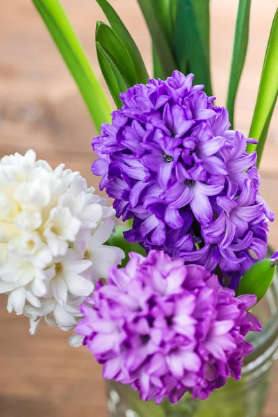 Hyacinth blommor — Stockfoto