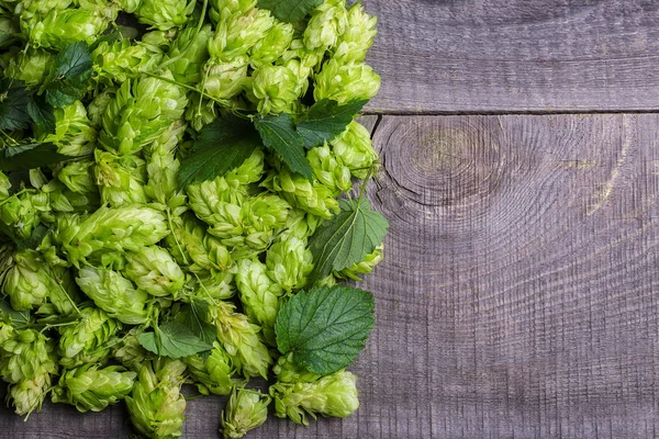 Grüner Hopfen mit Blättern — Stockfoto