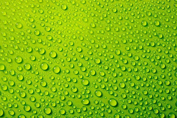 Water drops background — Stock Photo, Image