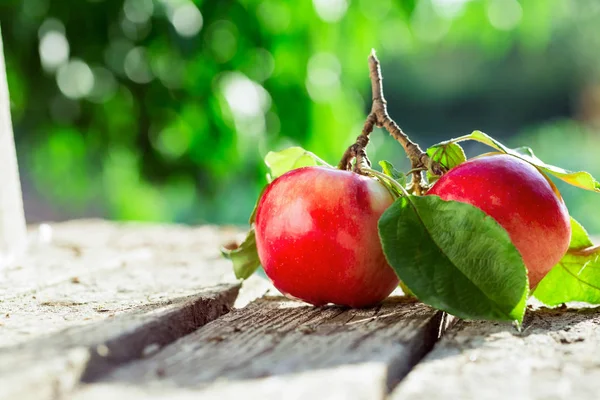 Frische rote Äpfel — Stockfoto