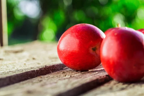 Manzanas rojas frescas — Foto de Stock