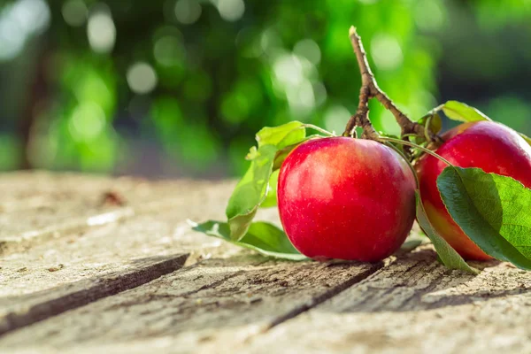 Manzanas rojas con hojas — Foto de Stock