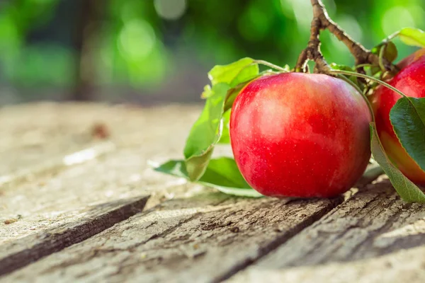 Piros alma, levelekkel — Stock Fotó