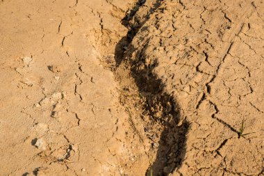 Kil ve kum yüzeyi ocağında. 