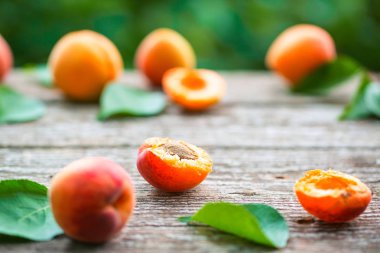 ahşap kurullarında yaprakları ile kayısı 