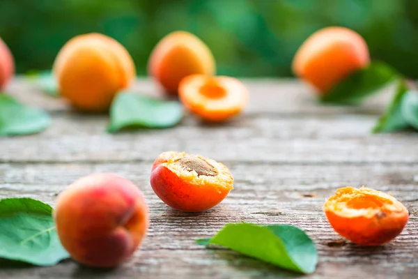 ahşap kurullarında yaprakları ile kayısı 