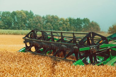 hasat kırpma birleştirmek. 