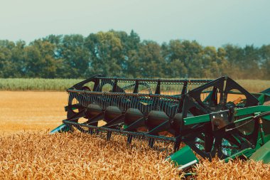 hasat kırpma birleştirmek. 