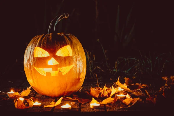 Cadılar Bayramı Balkabağı kafa jack fenerler