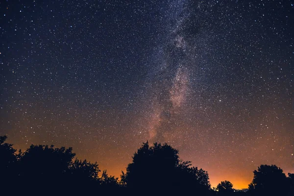 La Via Lattea e alcuni alberi — Foto Stock