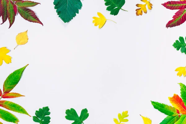 Mooie kleurrijke herfst bladeren en bessen frame op witte achtergrond met vrije ruimte — Stockfoto
