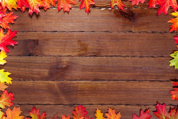 Quadro da folhagem de outono — Fotografia de Stock