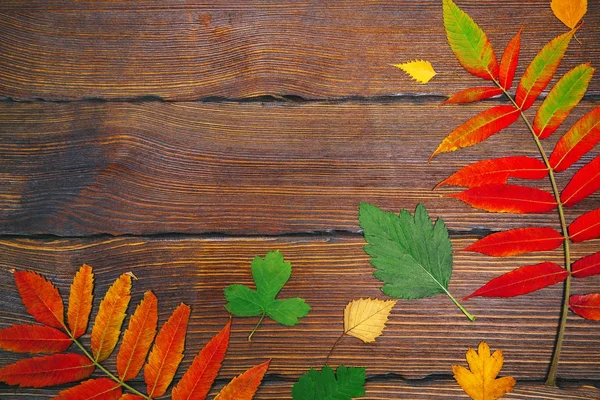 Frame van de herfst bladeren — Stockfoto
