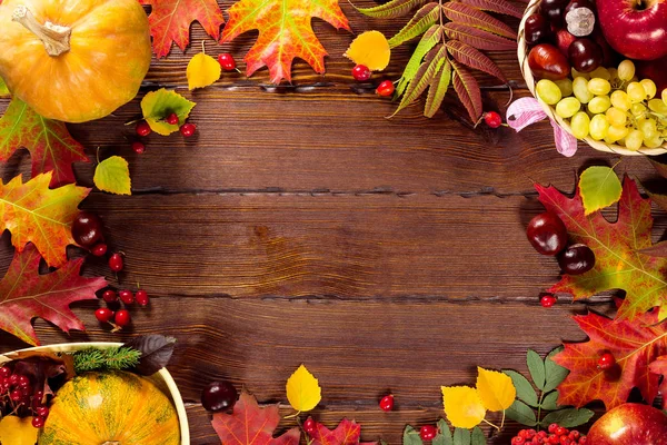 Rahmen der Herbsternte — Stockfoto