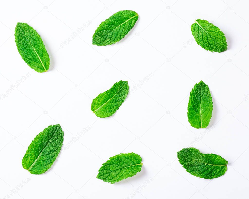 Fresh raw mint leaves 