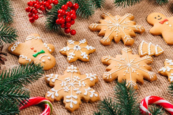 Biscoitos Gengibre Natal Caseiros Com Ramos Árvore Natal Decoração Ano — Fotografia de Stock