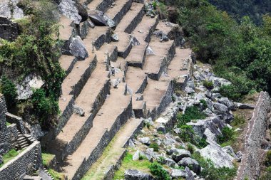 eski teraslar ve kalıntılar