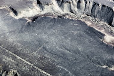 Nazca Çölü için çizim sinek kuşlarının
