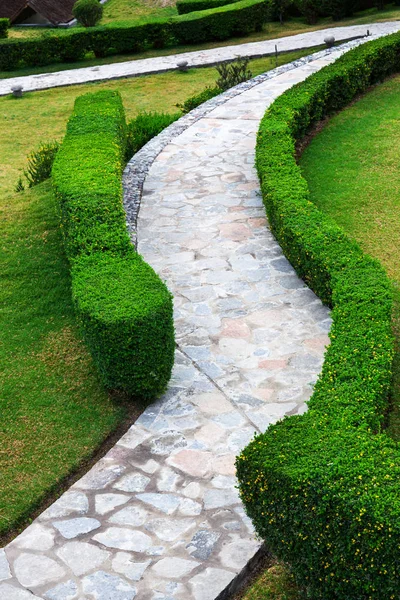 Path and bushes in park — Stock Photo, Image