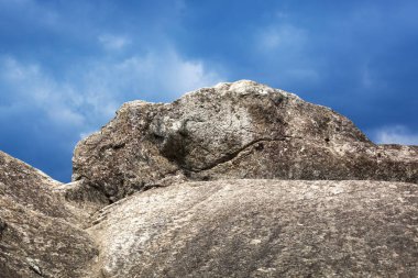 bir iguana taş görüntü