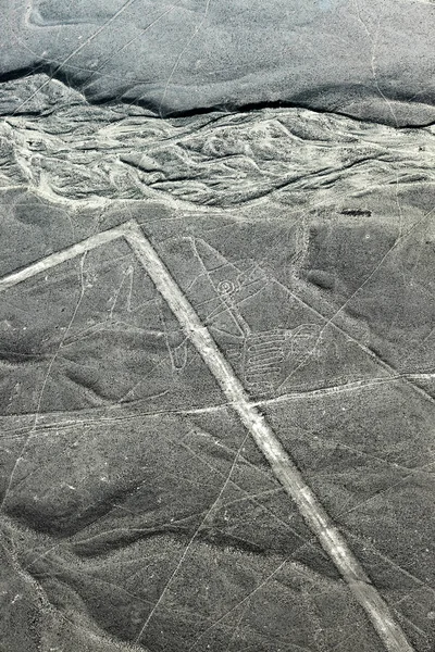 whale drawing in Nazca desert