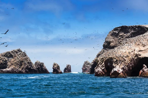 Oceano e pássaros no dia ensolarado — Fotografia de Stock