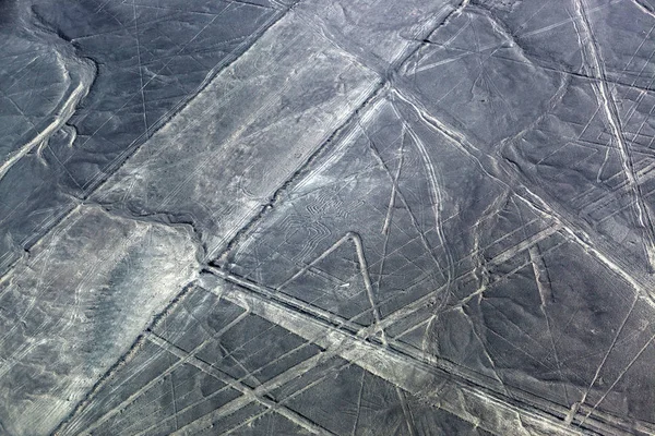 Drawing spider to the desert of Nazca — Stock Photo, Image