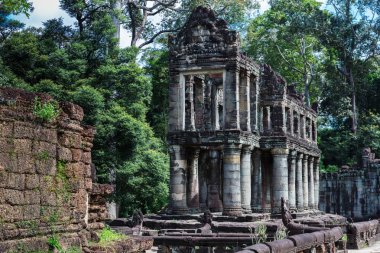 Preah Khan Tapınağı kalıntıları