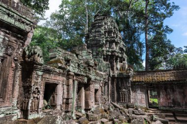 Ta Prohm Tapınağı kalıntıları