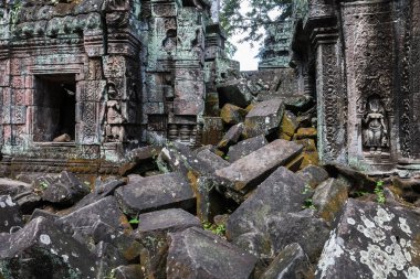 Ta Prohm Tapınağı kalıntıları