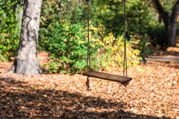 Balanceo de cuerda de niños vacíos en otoño parque — Foto de Stock