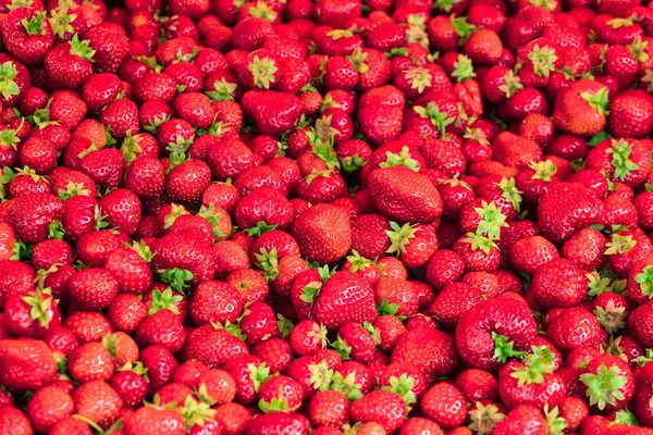 Φρέσκες φράουλες από κήπο — Φωτογραφία Αρχείου