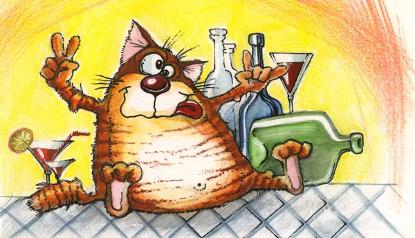komik sarhoş kedi orada bir bayramdır
