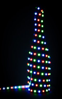 Bir şişe şampanya olarak Noel Garland