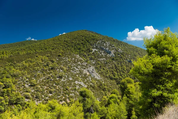 Green Hill na Grécia — Fotografia de Stock