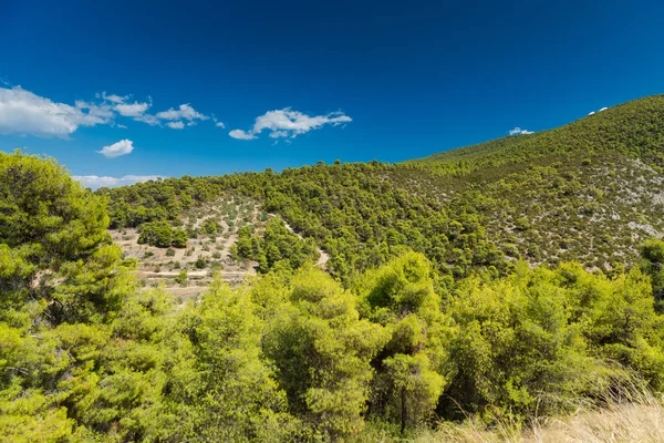 Grüner Hügel in Griechenland — Stockfoto