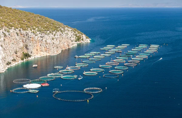 Ferme piscicole dans la mer — Photo